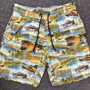 Scenic Print Men's Swim Trunks